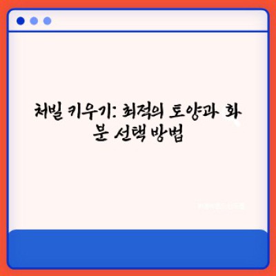 처빌 키우기 요약정보 우선 확인