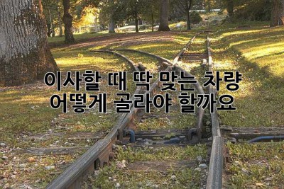 이사할 때 딱 맞는 차량, 어떻게 골라야 할까요? 🤔