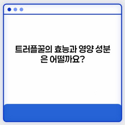 트러플꿀 완벽 가이드: 궁금증 해결과 활용법 총정리