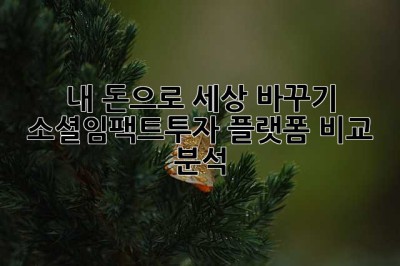 내 돈으로 세상 바꾸기? 소셜임팩트투자 플랫폼 비교 분석!