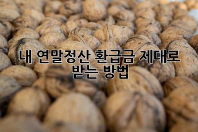 내 연말정산 환급금, 제대로 받는 방법!