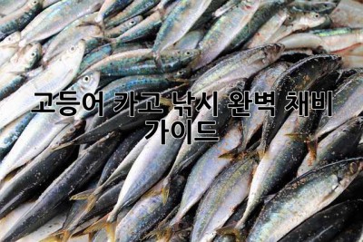 고등어 카고 낚시: 완벽 채비 가이드