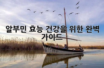 알부민 효능: 건강을 위한 완벽 가이드
