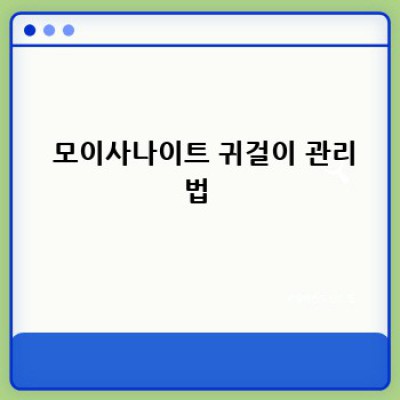 ✨내 맘을 훔친 모이사나이트 귀걸이 2부 후기!✨