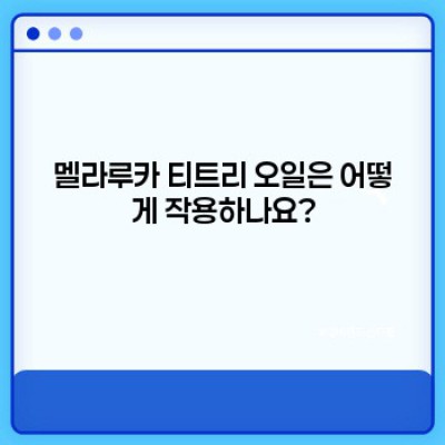 멜라루카 티트리 오일: 완벽 가이드 – 효능, 사용법, 주의사항까지!