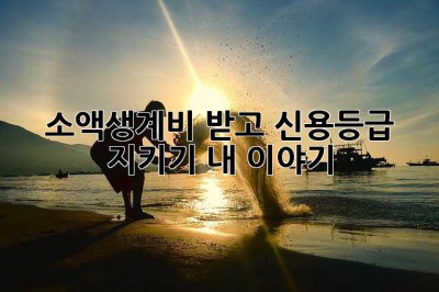 소액생계비 받고 신용등급 지키기: 내 이야기