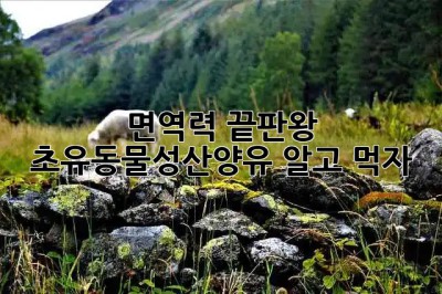 면역력 끝판왕💪 초유동물성산양유 알고 먹자! 🐐