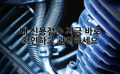 내 신용점수, 지금 바로 확인하고 관리하세요! ✨