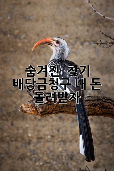 숨겨진 💰 찾기! 배당금청구, 내 돈 돌려받자! 💸