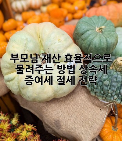 부모님 재산, 효율적으로 물려주는 방법! 상속세 증여세 절세 전략 ✨