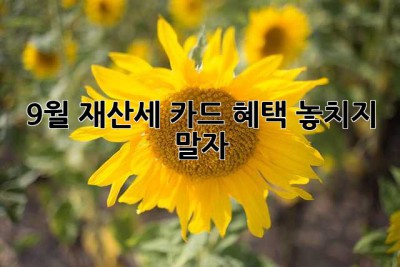 9월 재산세, 카드 혜택 놓치지 말자!