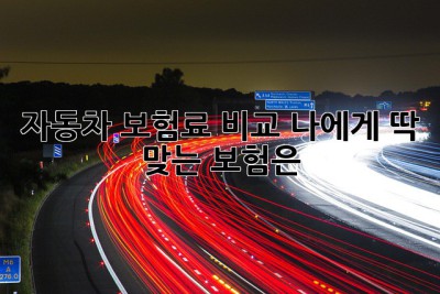 자동차 보험료 비교: 나에게 딱 맞는 보험은?