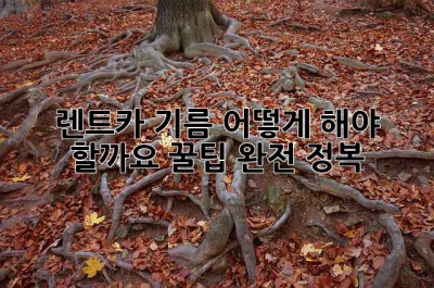 렌트카 기름, 어떻게 해야 할까요? 꿀팁 완전 정복!
