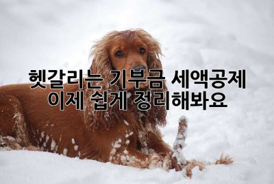헷갈리는 기부금 세액공제, 이제 쉽게 정리해봐요!