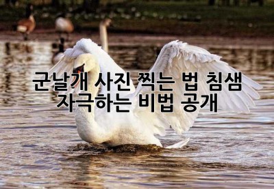 군날개 사진 찍는 법: 침샘 자극하는 비법 공개!