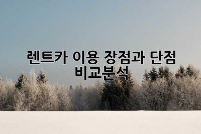 렌트카 이용, 장점과 단점 비교분석!