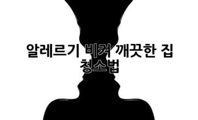 알레르기 비켜! 깨끗한 집 청소법✨