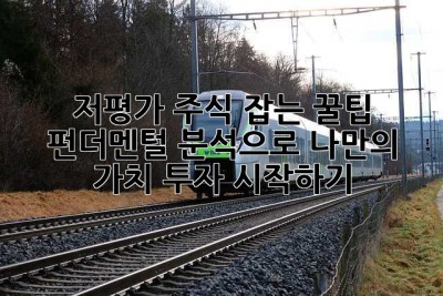 저평가 주식 잡는 꿀팁: 펀더멘털 분석으로 나만의 가치 투자 시작하기