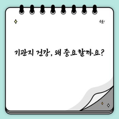 기관지 건강 지킴이! 기관지에 좋은 음식 완벽 가이드 (feat. 최신 연구 결과)