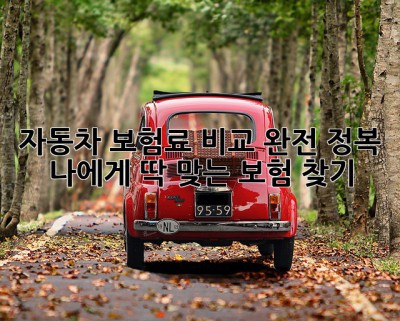 자동차 보험료 비교 완전 정복! 나에게 딱 맞는 보험 찾기🚗💨