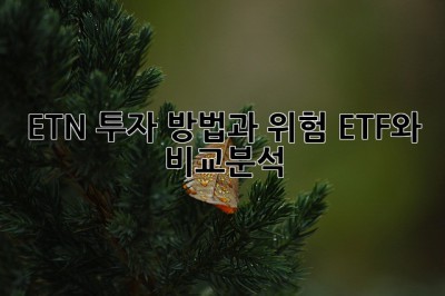 ETN 투자 방법과 위험: ETF와 비교분석! 🤔