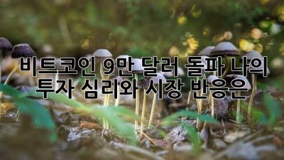 비트코인 9만 달러 돌파! 나의 투자 심리와 시장 반응은?