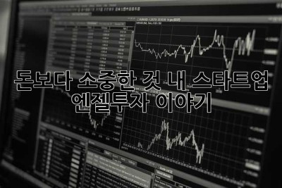돈보다 소중한 것: 내 스타트업 엔젤투자 이야기 ✨