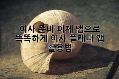 이사 준비, 이제 앱으로 똑똑하게! 이사 플래너 앱 활용법