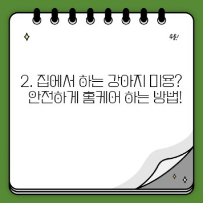 강아지 미용 완벽 가이드: 털 관리부터 스타일 선택까지!  내 강아지에게 딱 맞는 미용 찾기