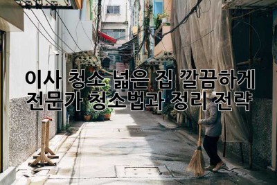이사 청소: 넓은 집, 깔끔하게! 전문가 청소법과 정리 전략