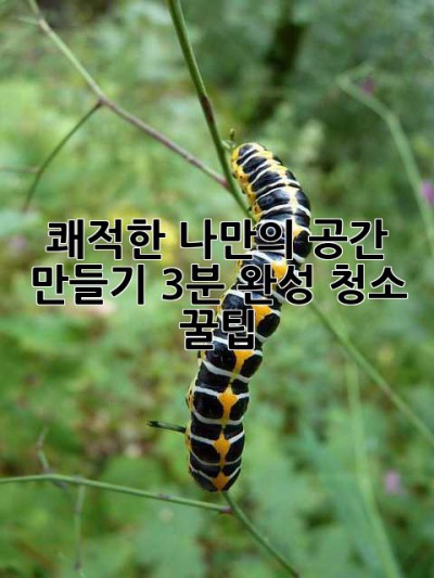 쾌적한 나만의 공간 만들기: 3분 완성 청소 꿀팁! ✨