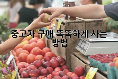 중고차 구매? 똑똑하게 사는 방법!
