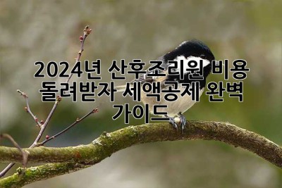 2024년 산후조리원 비용, 돌려받자! 세액공제 완벽 가이드