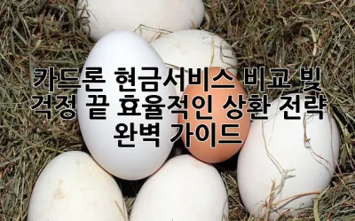카드론 현금서비스 비교: 빚 걱정 끝! 효율적인 상환 전략 완벽 가이드 ✨