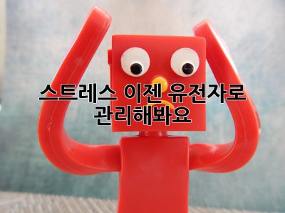 스트레스, 이젠 유전자로 관리해봐요!