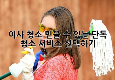 이사 청소, 믿을 수 있는 단독 청소 서비스 선택하기