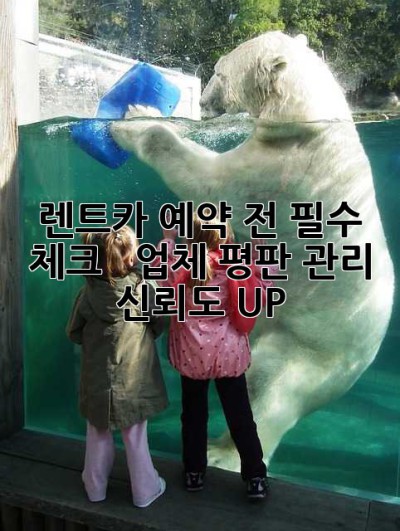 렌트카 예약 전 필수 체크! 👍  업체 평판 관리, 신뢰도 UP!