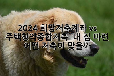 2024 희망저축계좌 vs 주택청약종합저축? 🤔 내 집 마련, 어떤 저축이 맞을까?