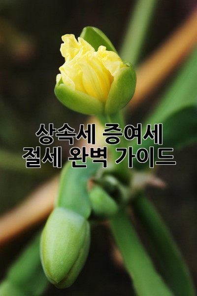 상속세 증여세 절세 완벽 가이드! 💰