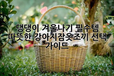 댕댕이 겨울나기 필수템! 🐶 따뜻한 강아지잠옷조끼 선택 가이드