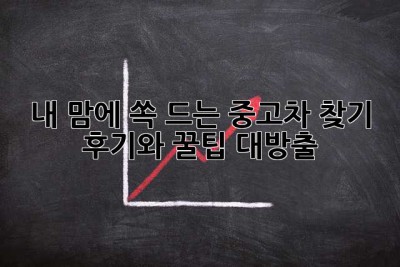 내 맘에 쏙 드는 중고차 찾기: 후기와 꿀팁 대방출!