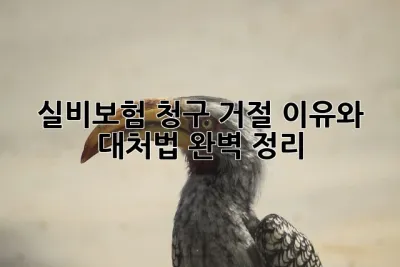 실비보험 청구 거절? 이유와 대처법 완벽 정리! 🏥💰