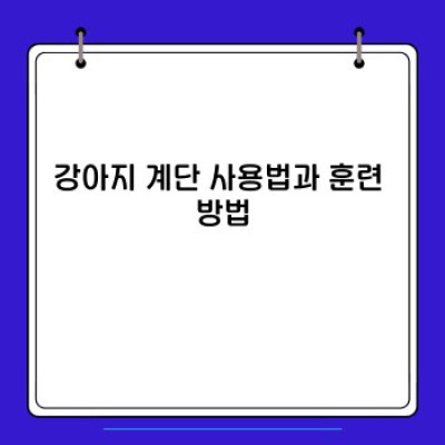 반려견의 안전과 행복을 위한 완벽 가이드: 강아지 계단 오르기의 모든 것