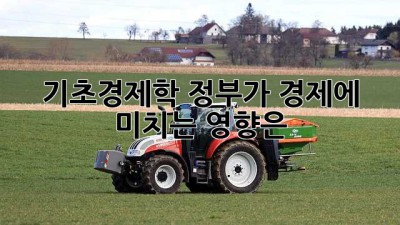기초경제학: 정부가 경제에 미치는 영향은? 🤔
