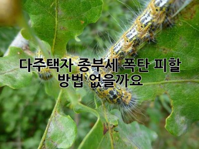 다주택자, 종부세 폭탄 피할 방법 없을까요? 😭