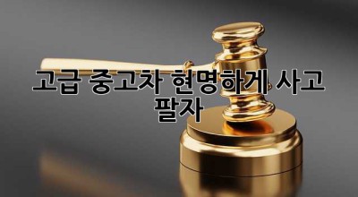 고급 중고차, 현명하게 사고 팔자! ✨