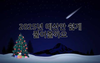2025년 예산안, 쉽게 풀어볼까요? 🤔