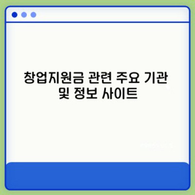 창업지원금 완벽 가이드: 종류, 신청방법, 성공사례까지!