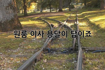 원룸 이사? 용달이 답이죠! 📦