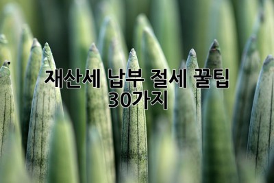 재산세 납부 절세 꿀팁 30가지! ✨